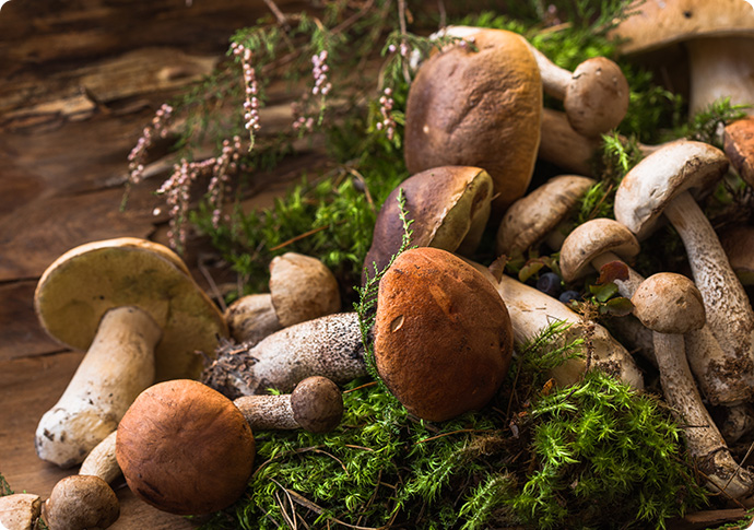 Loaded with diverse essential vitamins to support your physical health.